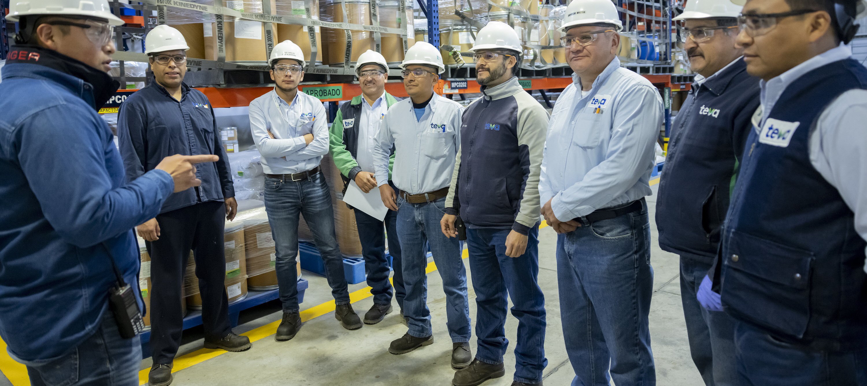 Teva Mexico TGO AMSO employees